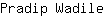 P***e