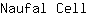 N***l