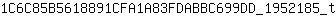 1***t