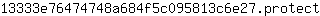 1***t