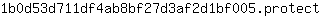 1***t
