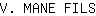 V***S