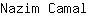 N***l