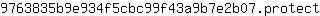 9***t