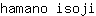 h***i