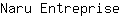 N***e