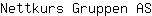 N***S