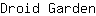 D***n