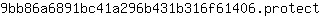 9***t