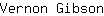 V***n
