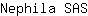N***S