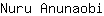 N***i