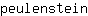 p***n