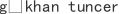 g***r