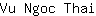 V***i