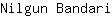 N***i