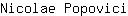 N***i