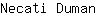 N***n
