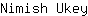 N***y