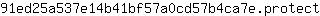 9***t