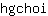 h***i