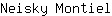 N***l