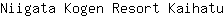 N***u