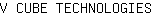 V***S
