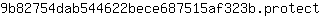 9***t