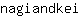n***i