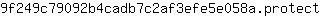 9***t
