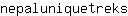 n***s