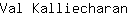 V***n