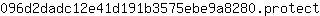 0***t