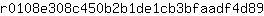 r***9