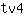 t***4