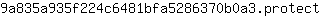 9***t