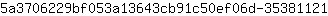 5***1
