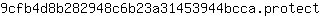9***t