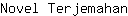 N***n