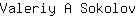 V***v