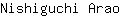 N***o