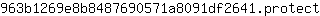 9***t