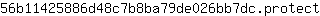 5***t