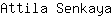 A***a