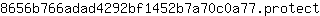 8***t