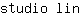 s***n