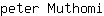 p***i
