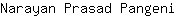 N***i