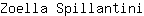 Z***i